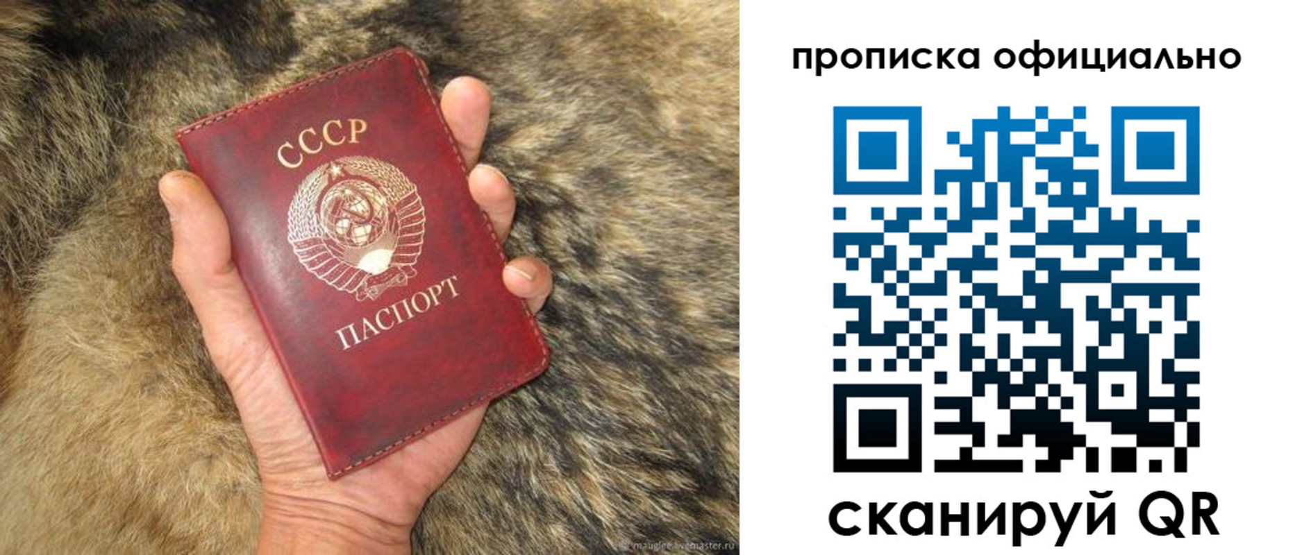 прописка паспорт в Полысаево